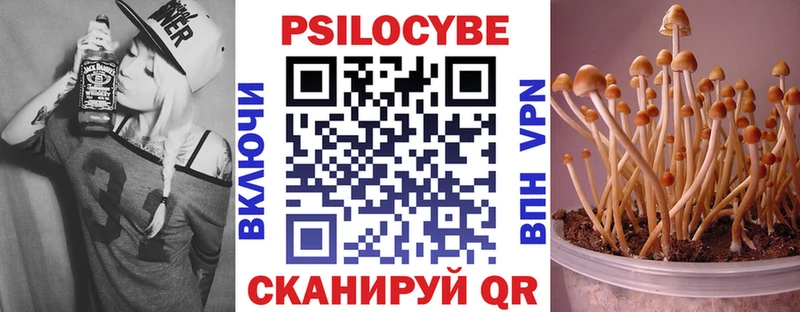закладки  Петушки  Псилоцибиновые грибы мицелий 